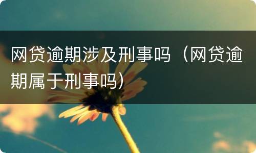 网贷逾期涉及刑事吗（网贷逾期属于刑事吗）