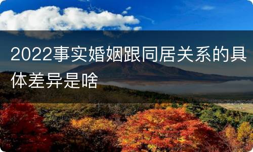 2022事实婚姻跟同居关系的具体差异是啥