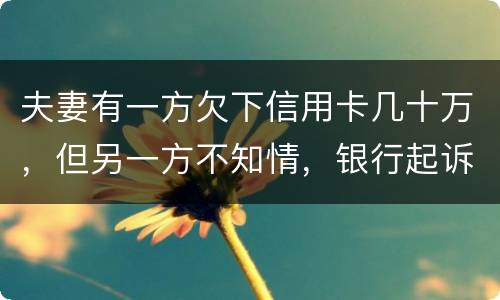 夫妻有一方欠下信用卡几十万，但另一方不知情，银行起诉要封房子怎么办