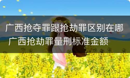 广西抢夺罪跟抢劫罪区别在哪 广西抢劫罪量刑标准金额