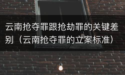 云南抢夺罪跟抢劫罪的关键差别（云南抢夺罪的立案标准）