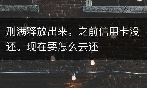 刑满释放出来。之前信用卡没还。现在要怎么去还