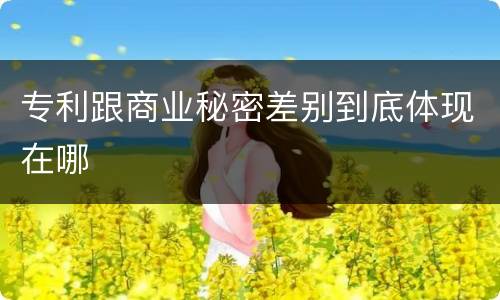 专利跟商业秘密差别到底体现在哪