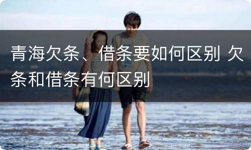 青海欠条、借条要如何区别 欠条和借条有何区别