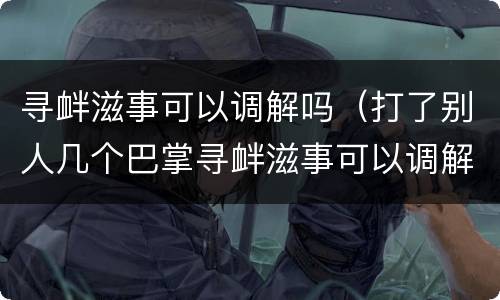 寻衅滋事可以调解吗（打了别人几个巴掌寻衅滋事可以调解吗）