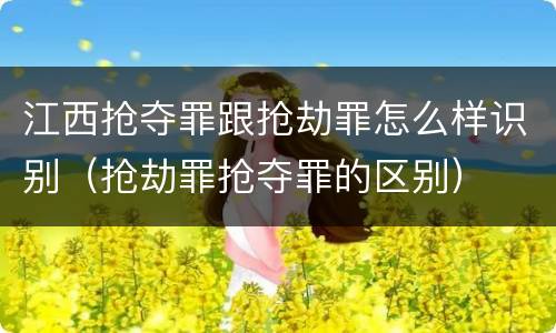 江西抢夺罪跟抢劫罪怎么样识别（抢劫罪抢夺罪的区别）