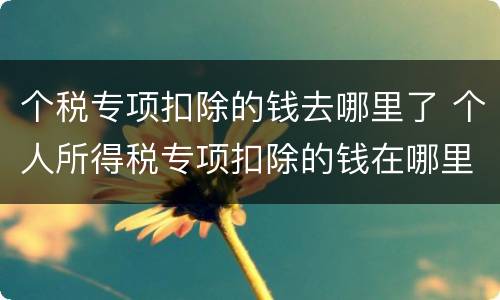 个税专项扣除的钱去哪里了 个人所得税专项扣除的钱在哪里