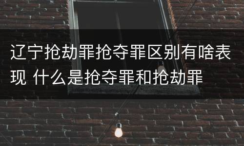 辽宁抢劫罪抢夺罪区别有啥表现 什么是抢夺罪和抢劫罪