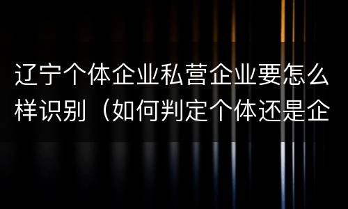 辽宁个体企业私营企业要怎么样识别（如何判定个体还是企业）