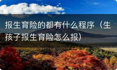 报生育险的都有什么程序（生孩子报生育险怎么报）