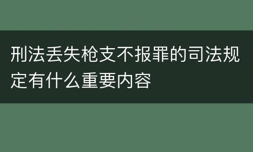 刑法丢失枪支不报罪的司法规定有什么重要内容