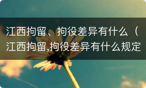 江西拘留、拘役差异有什么（江西拘留,拘役差异有什么规定）