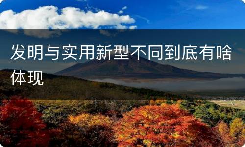 发明与实用新型不同到底有啥体现