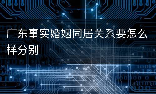 广东事实婚姻同居关系要怎么样分别