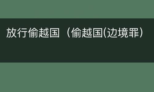 放行偷越国（偷越国(边境罪）