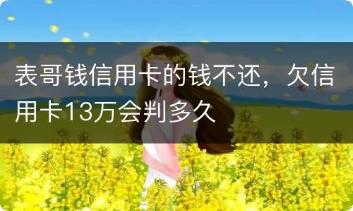 表哥钱信用卡的钱不还，欠信用卡13万会判多久