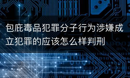 包庇毒品犯罪分子行为涉嫌成立犯罪的应该怎么样判刑