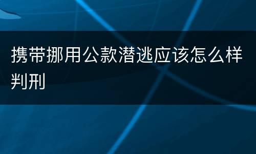 携带挪用公款潜逃应该怎么样判刑