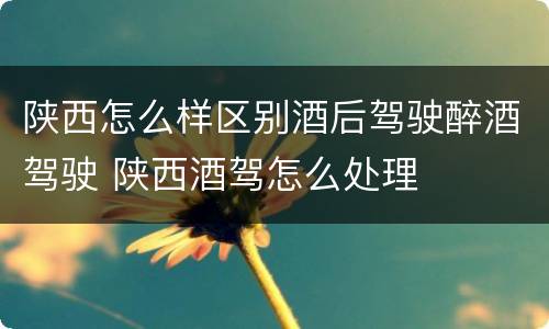陕西怎么样区别酒后驾驶醉酒驾驶 陕西酒驾怎么处理