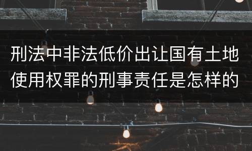 刑法中非法低价出让国有土地使用权罪的刑事责任是怎样的