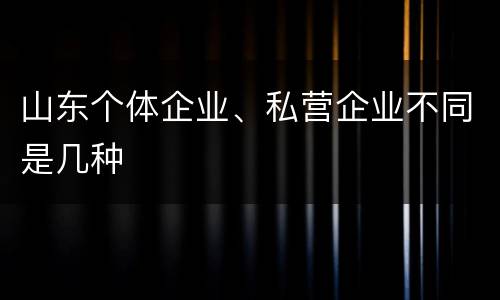 山东个体企业、私营企业不同是几种