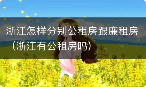 浙江怎样分别公租房跟廉租房（浙江有公租房吗）