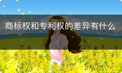 商标权和专利权的差异有什么