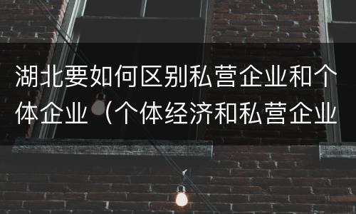 湖北要如何区别私营企业和个体企业（个体经济和私营企业的区别）