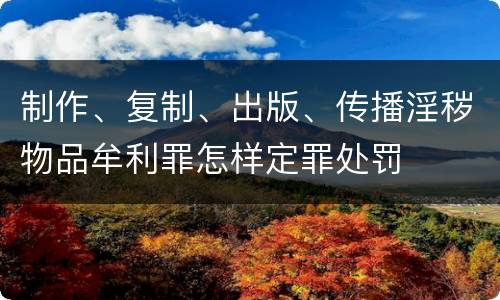 制作、复制、出版、传播淫秽物品牟利罪怎样定罪处罚