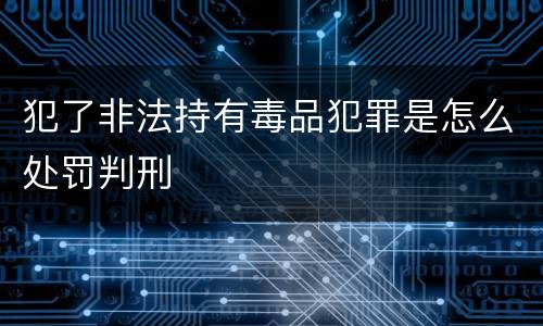 犯了非法持有毒品犯罪是怎么处罚判刑