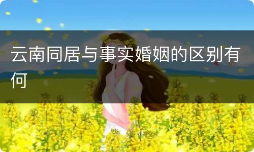 云南同居与事实婚姻的区别有何