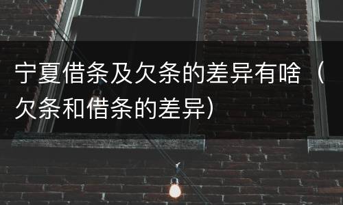 宁夏借条及欠条的差异有啥（欠条和借条的差异）