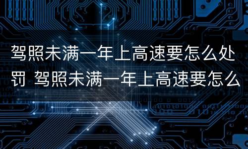 驾照未满一年上高速要怎么处罚 驾照未满一年上高速要怎么处罚呀