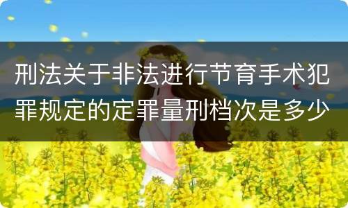 刑法关于非法进行节育手术犯罪规定的定罪量刑档次是多少