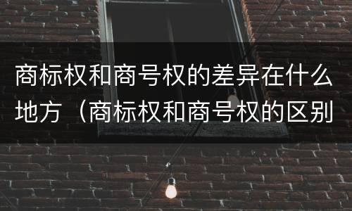 商标权和商号权的差异在什么地方（商标权和商号权的区别）