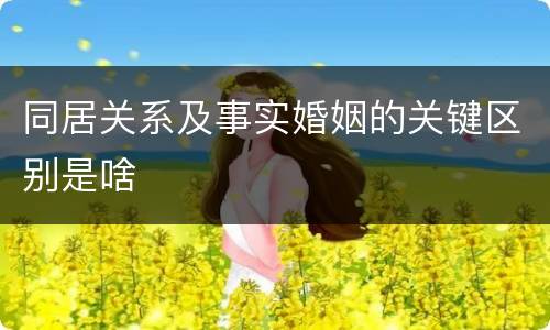 同居关系及事实婚姻的关键区别是啥