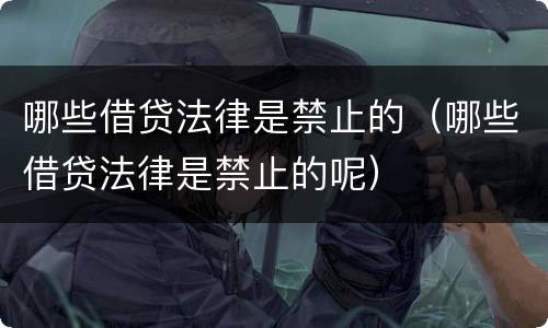 哪些借贷法律是禁止的（哪些借贷法律是禁止的呢）