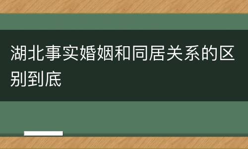 湖北事实婚姻和同居关系的区别到底