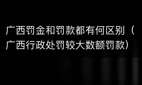 广西罚金和罚款都有何区别（广西行政处罚较大数额罚款）
