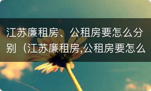 江苏廉租房、公租房要怎么分别（江苏廉租房,公租房要怎么分别摇号）