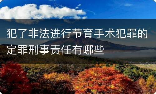 犯了非法进行节育手术犯罪的定罪刑事责任有哪些