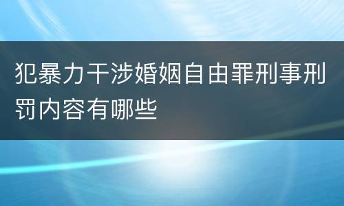 犯暴力干涉婚姻自由罪刑事刑罚内容有哪些