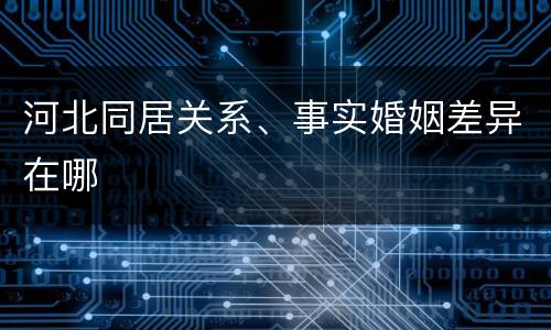 河北同居关系、事实婚姻差异在哪