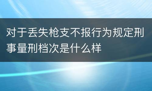 对于丢失枪支不报行为规定刑事量刑档次是什么样