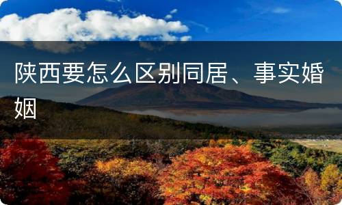 陕西要怎么区别同居、事实婚姻