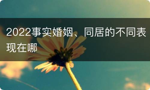 2022事实婚姻、同居的不同表现在哪