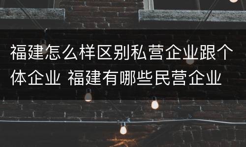 福建怎么样区别私营企业跟个体企业 福建有哪些民营企业