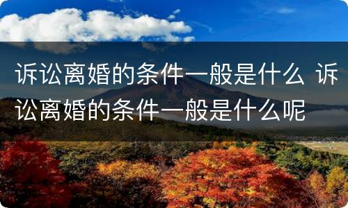 诉讼离婚的条件一般是什么 诉讼离婚的条件一般是什么呢