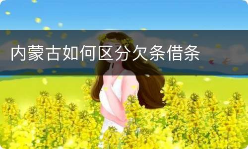 内蒙古如何区分欠条借条