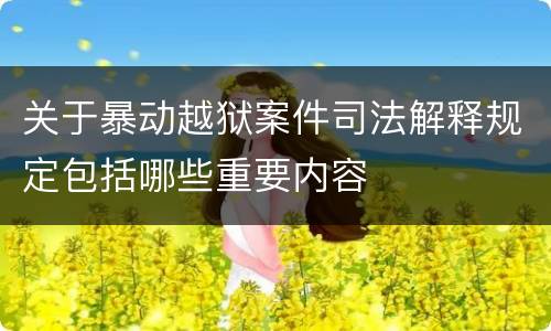关于暴动越狱案件司法解释规定包括哪些重要内容